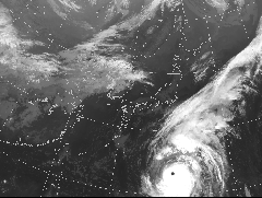 令和元年台風第19号　気象衛星ひまわりによる赤外画像