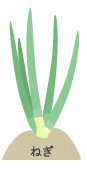 ねぎ