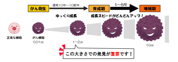 がん細胞の増殖経過