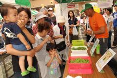 枝豆大感謝祭の写真