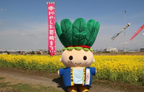 菜の花とこまちゃん