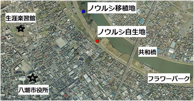 ノウルシの場所を示した地図