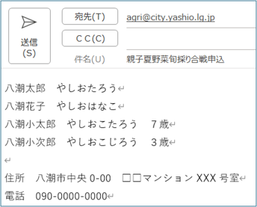 申込メール記入例