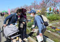 写真（ボランティア）