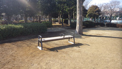 松之木公園に設置されたベンチの画像