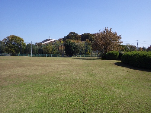 八潮南公園の写真（ソフトボール・少年野球場)